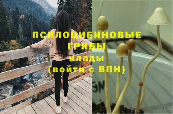 дживик Киренск