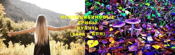 дживик Киренск